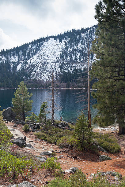 istock View of Lake and Forest 499553727
