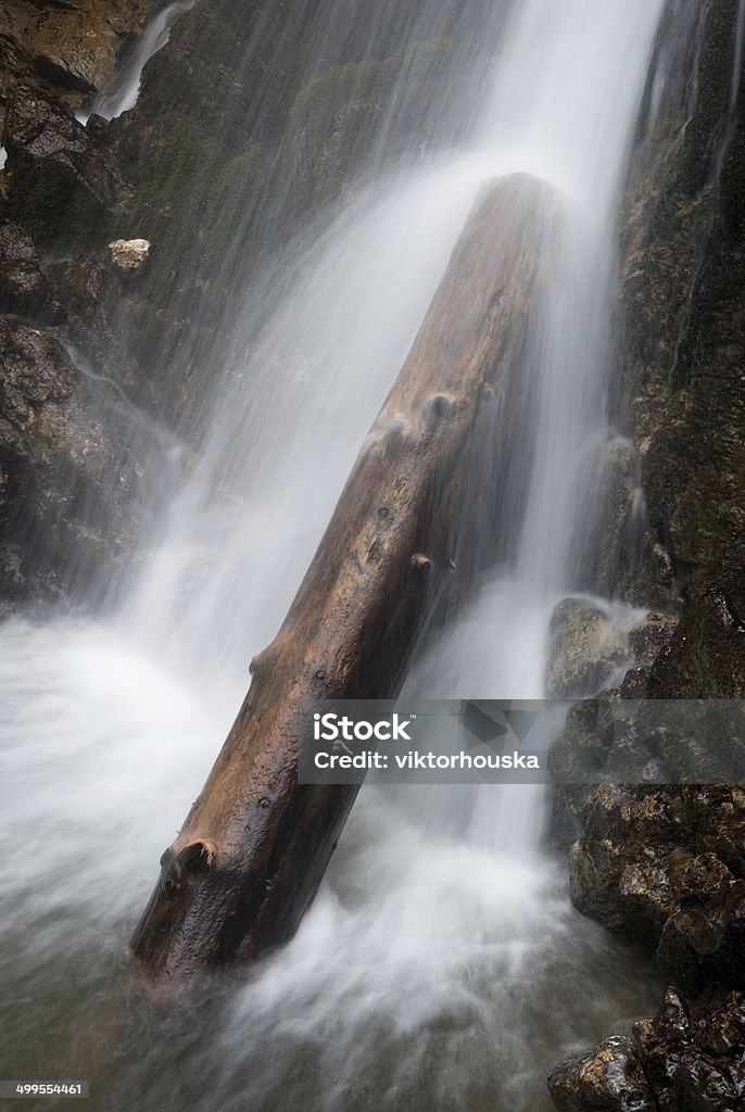 Wooden log in a waterfall Wooden log as an obstacle in a rapidly falling waterfall Blurred Motion Stock Photo