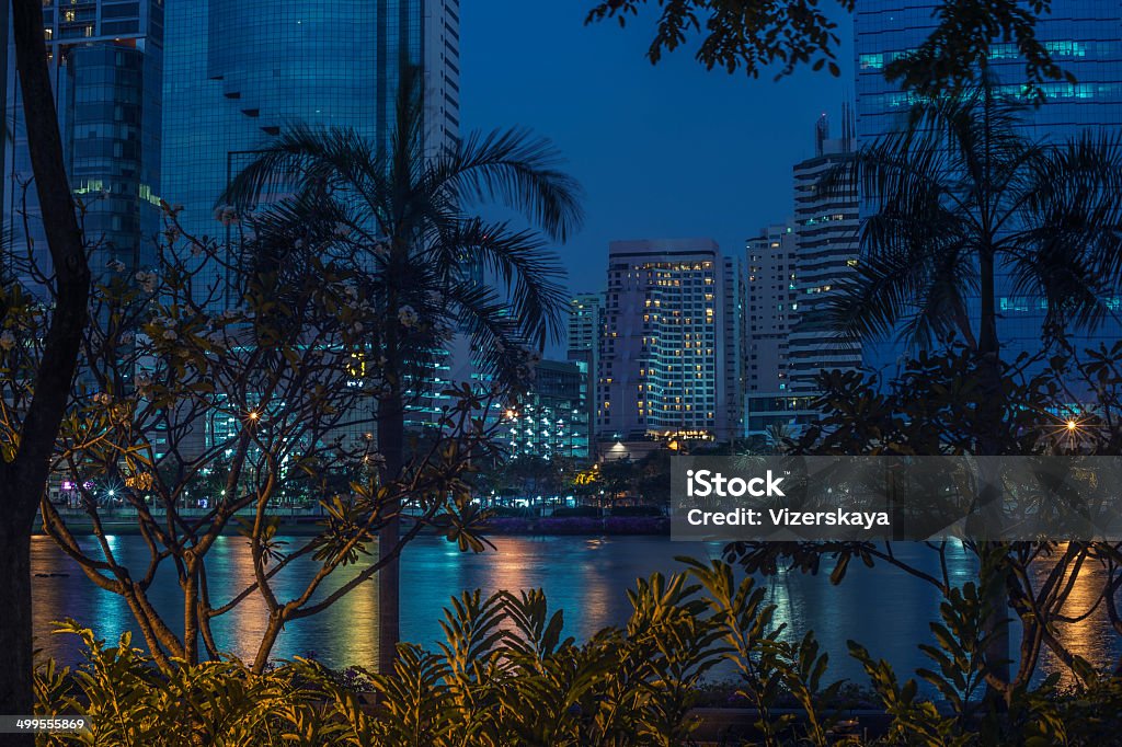 Night Bangkok through  tropical trees and palms Architecture Stock Photo