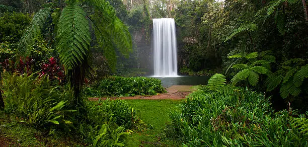 Photo of Milla Milla Falls, Queensland, Australia