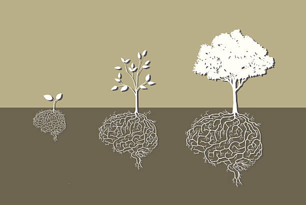 tree with brain root, vector Tree growth with brain root, vector animal brain stock illustrations