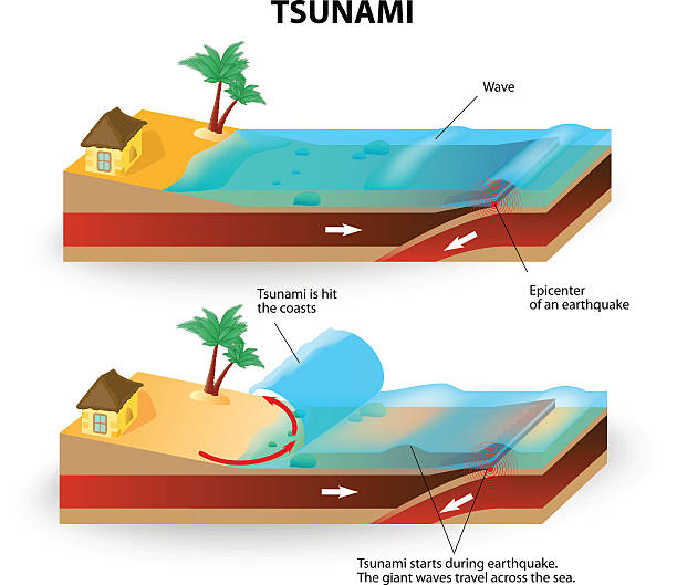 tsunami und erdbeben.  vektor-illustration - isometric sea coastline beach stock-grafiken, -clipart, -cartoons und -symbole