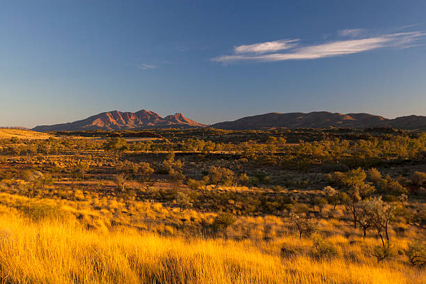 istock West Macdonnell Ranges, Northern Territory, Australia 499558093