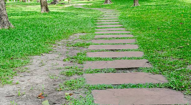 istock Walkwalk at Public park in Thailand 499558115