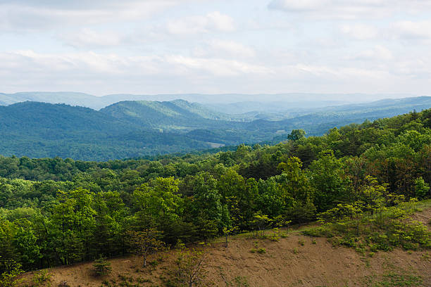 Late clearing storm in Great Smoky Mountains National Park from Clingmans Dome RD, Tennessee