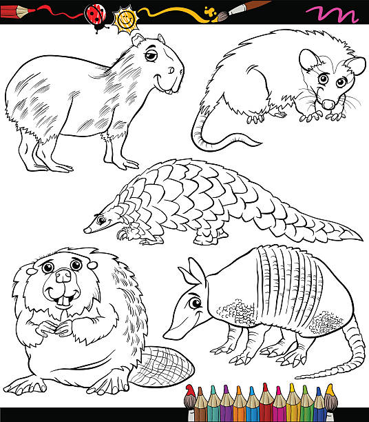 capivara animal colori desenho animado ilustração 20088315 Vetor