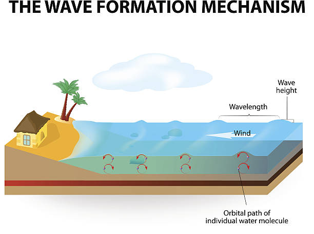 wave bildung mechanismus - isometric sea coastline beach stock-grafiken, -clipart, -cartoons und -symbole