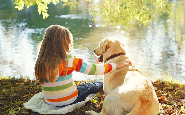 Two friends, child with Labrador retriever dog sitting in sunny stock photo