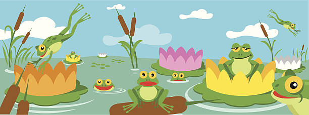 Frog pond vector art illustration