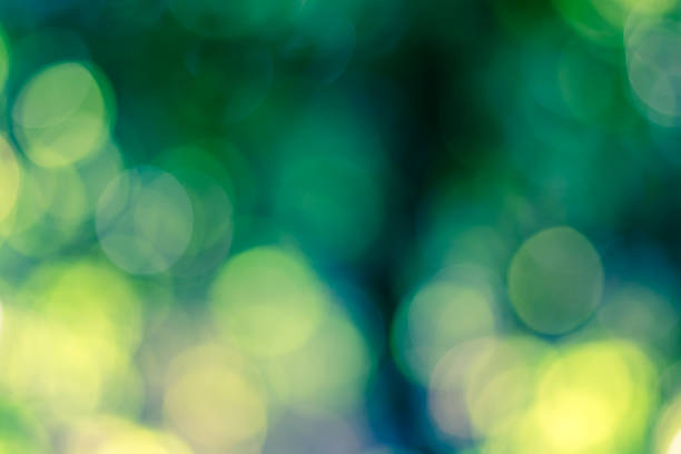 istock Abstract bokeh background from nature 499568278
