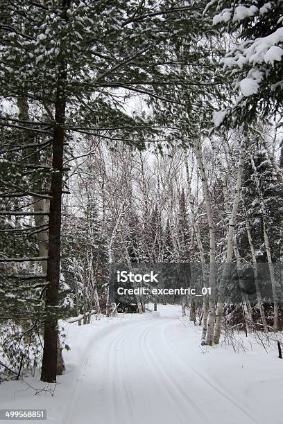 Faixas Para Esquiar Na Neve Orangeville Dufferin County Ontário Canad - Fotografias de stock e mais imagens de América do Norte