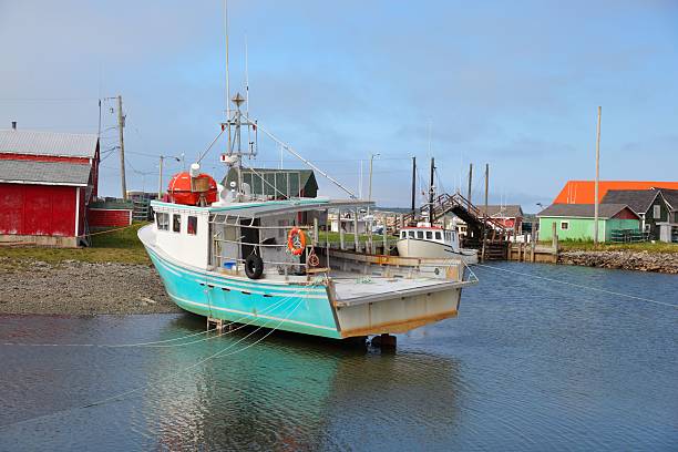 istock Fishing boats at a wharf 499569490