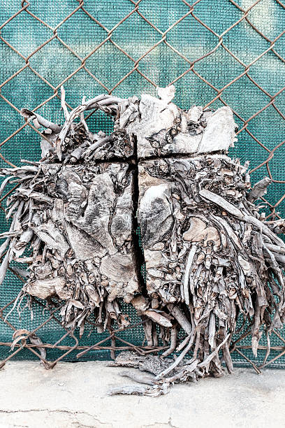 istock roots in chain link fence 499570382