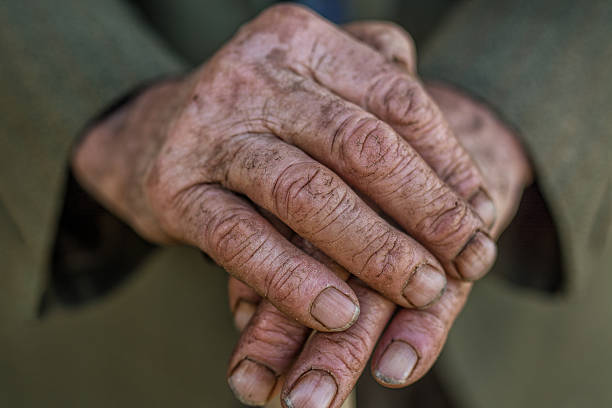 手の老人男性の保持、籐製 - human hand aging process senior adult cane ストックフォトと画像