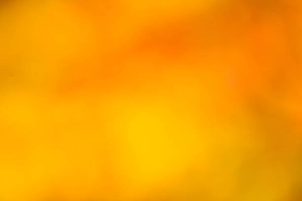istock Abstract background with bokeh defocused lights and shadow. 499570477