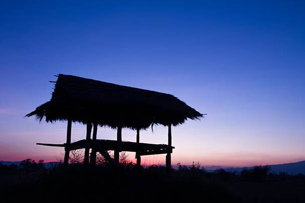 Silhouette of a hut and tree at sunset in Chiang rai, Thailand