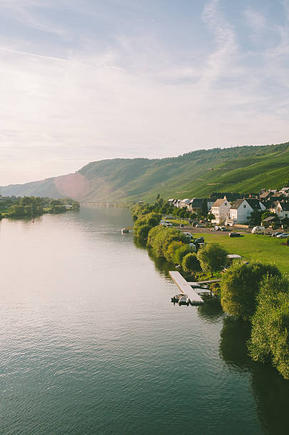 istock Evening at the Moselle in Germany 499571712