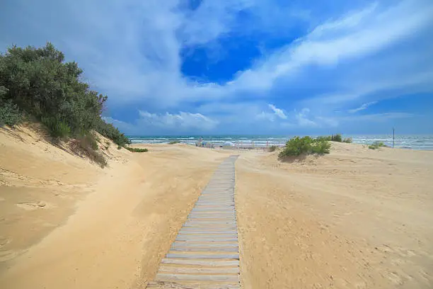 Sea sand dunes with path summer blue sky