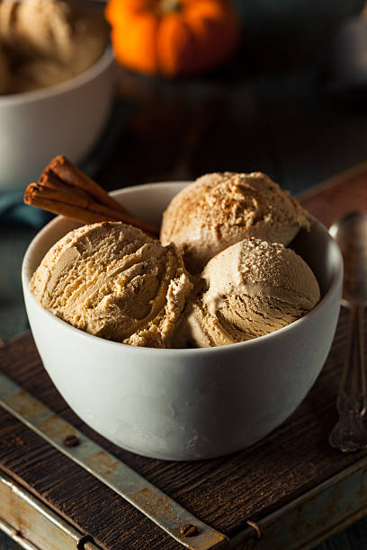 istock Homemade Pumpkin Pie Ice Cream 499577806