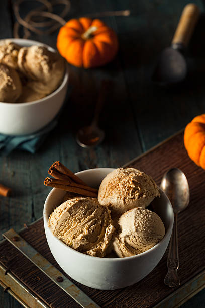 istock Homemade Pumpkin Pie Ice Cream 499577842