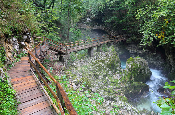 istock River in green forest in Canyon 499578951