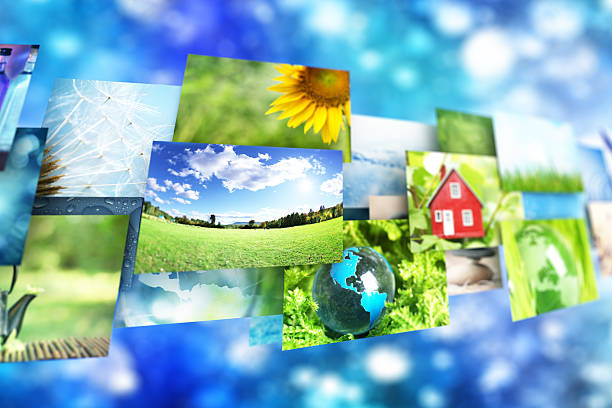 istock Collage of images background 499579071