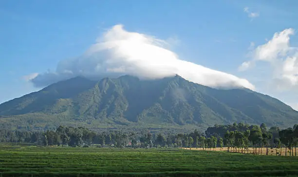 Low cloud over Volcanoes National Park, Rwanda, Africa. 