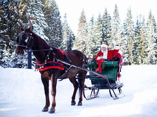 istock Santa Claus in His Sleigh at North Pole 499579774