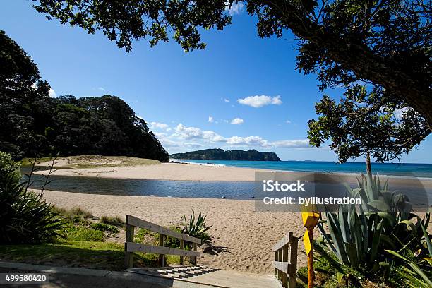 Warmes Wasser Beachnew Zealand Stockfoto und mehr Bilder von Strand - Strand, Bucht, Neuseeland