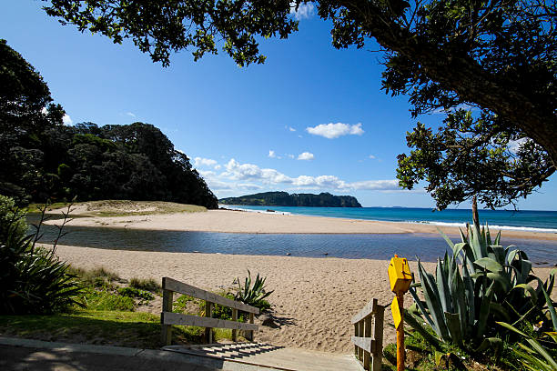 hot water beach New Zealand stock photo