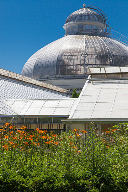 istock Low angle view of a greenhouse 499581167