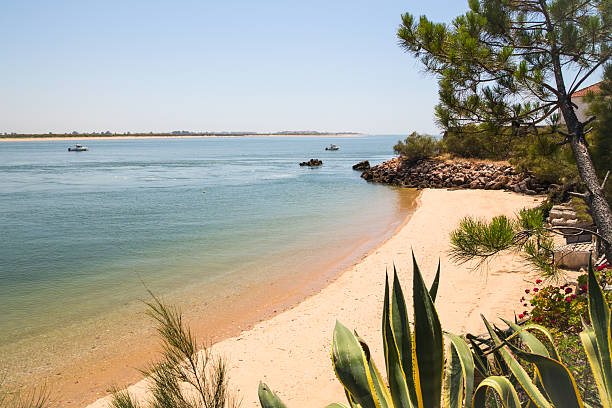 istock Secluded beach in Portugal 499581325