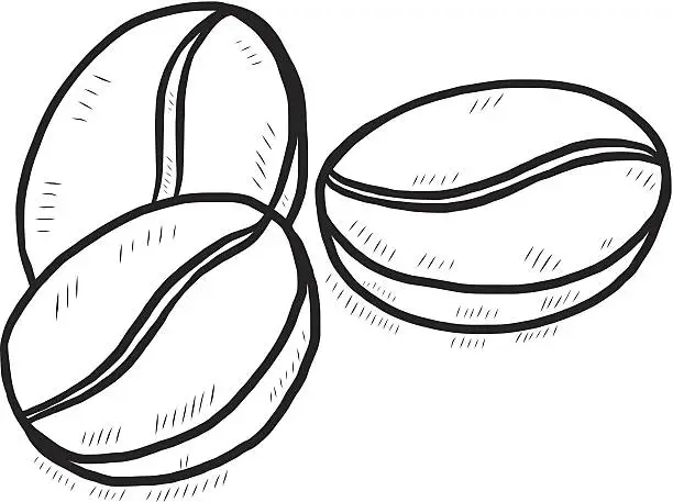 Vector illustration of coffee beans