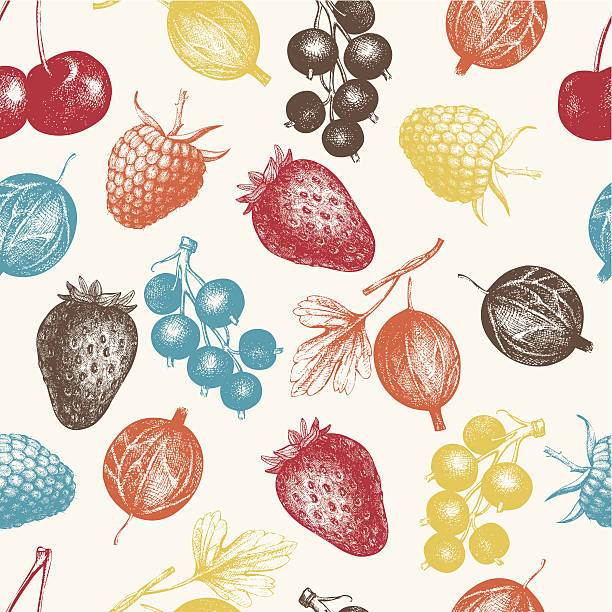 illustrations, cliparts, dessins animés et icônes de vintage fond sans couture fruits et berry - raspberry berry fruit fruit backgrounds