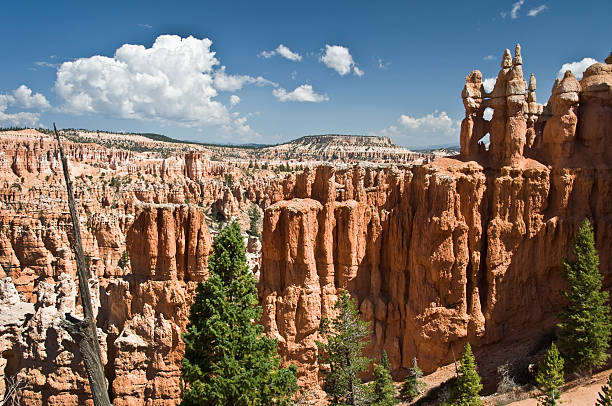 istock Bryce canyon national park, Utah, USA 499584111
