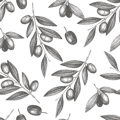 Vector pattern with ink hand drawn olive tree twigs isolated on white. Vintage olive background
