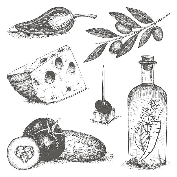 ilustrações, clipart, desenhos animados e ícones de ilustração vintage de alimentos saudáveis. - olive olive tree italy italian culture