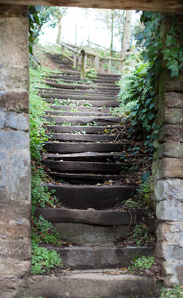 basso angolo vista della scalinata di pietra, dinan, côtes-d'armor, brittan - brittan foto e immagini stock