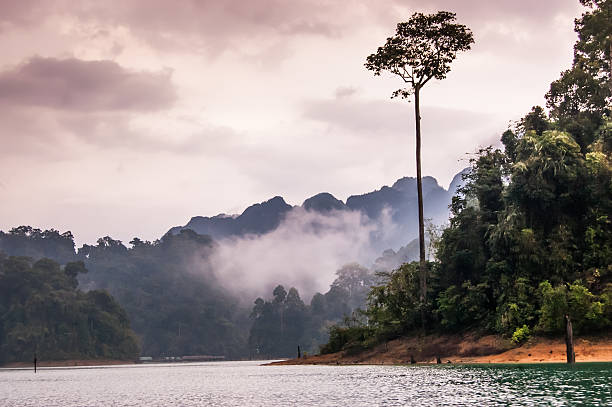 istock Misty dusk, Khao Sok National Park 499585307