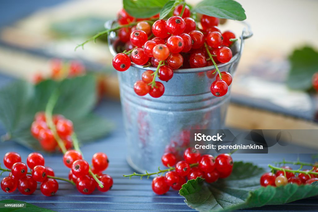 redcurrant ripe red currants in a bucket on a wooden table Berry Fruit Stock Photo