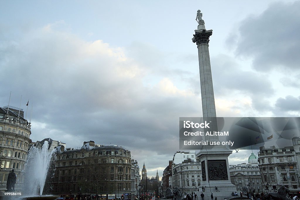 Trafalgar Square, London London, UK - 9 December 2006. Winter sky over Nelson's Column in Trafalgar Square. Bird Stock Photo