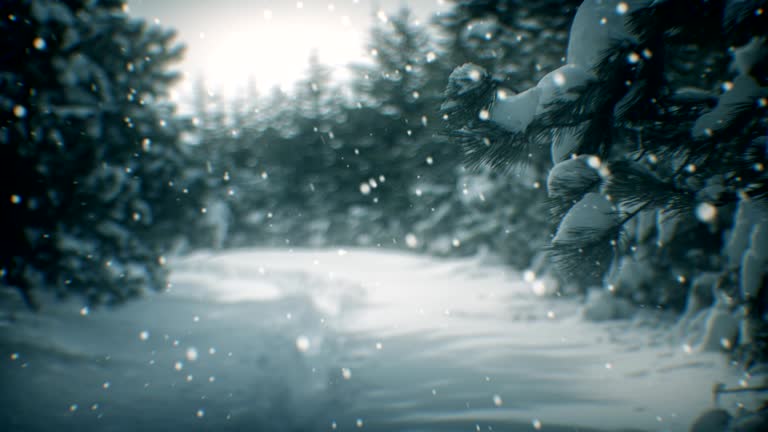 Winter landscape and snow (loopable)