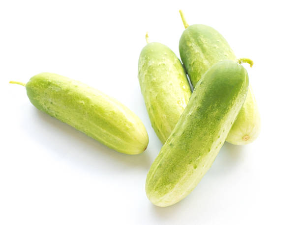 istock Fresh Cucumber isolated on white background 499595624
