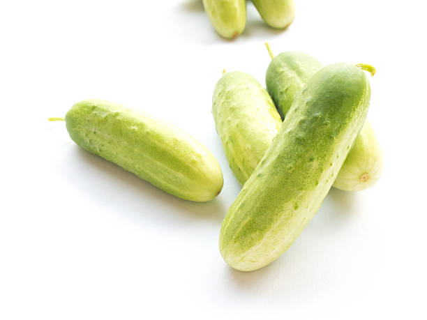 istock Fresh Cucumber isolated on white background 499595640