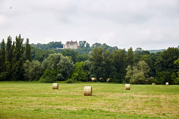 Straw bails in a modern barn