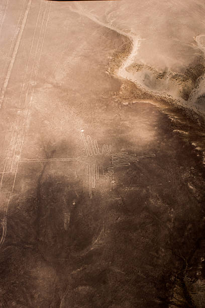 lot nad rysunki z nazca: w koliber - floating of ice zdjęcia i obrazy z banku zdjęć