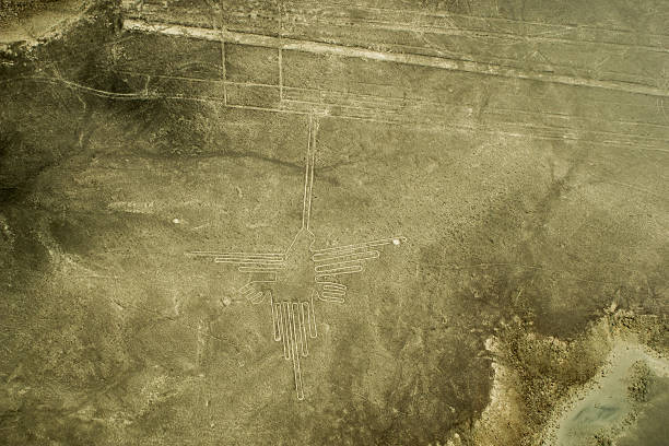 lot nad rysunki z nazca: w koliber - floating of ice zdjęcia i obrazy z banku zdjęć