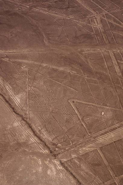 lot nad rysunki z nazca: spider - floating of ice zdjęcia i obrazy z banku zdjęć