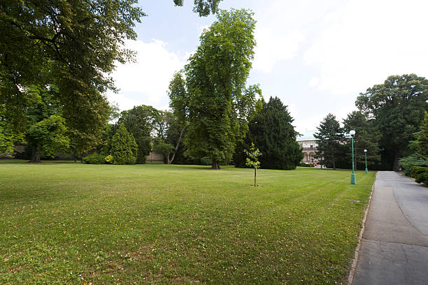 istock Royal Garden in Prague 499598040