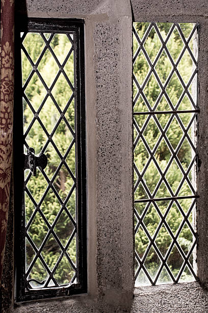 istock Old Fashion Window 499598365